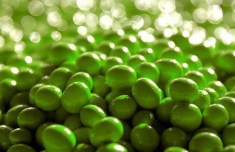 秋季易上火 吃什么最降火？首选4种食物