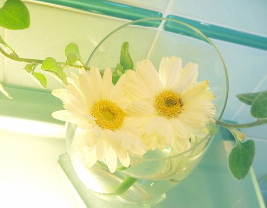 关注:广东启动城市癌症早诊早治项目