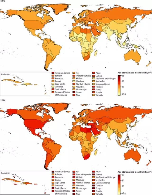 世界肥胖人口数量_全球 胖子 人数 超 瘦子 中国肥胖人数全球第一(2)