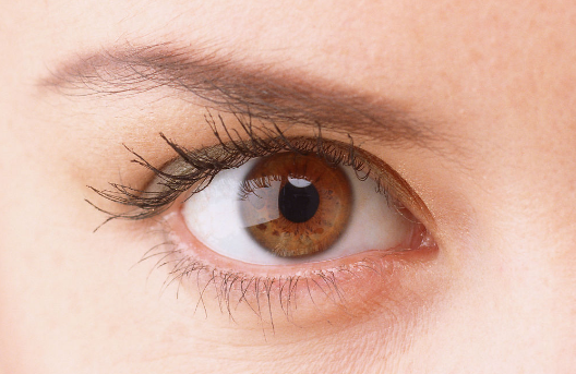 专家解读:五种眼角的分泌物需要警惕!