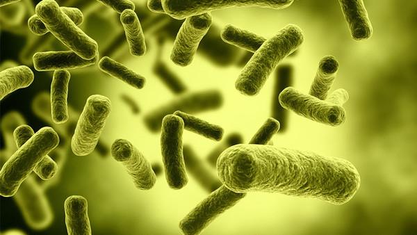 感染了HIV病毒还能活多久?不会立即死亡_健康_腾讯网