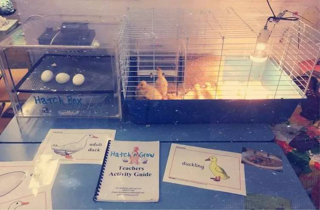 人工耳蜗发源地探秘:科利耳澳洲总部我们来啦