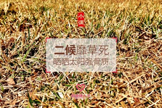 今日进入小满 糖友多吃苦菜多晒太阳