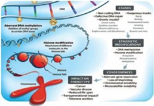 ֢Ŵͼף30ೣ֢Դ20DNA