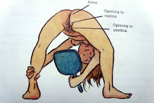 奇闻:国外性教育课本 展示<em>人体大胆</em>露骨 - 阜城