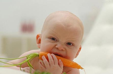 小小花招儿 让宝宝从此爱上吃蔬菜