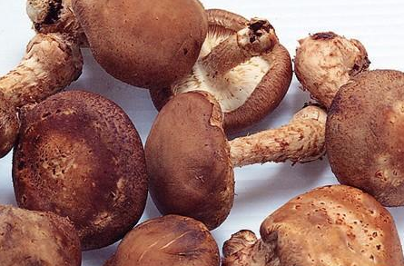 教你开胃食谱 让宝宝爱上吃饭_育儿_腾讯网