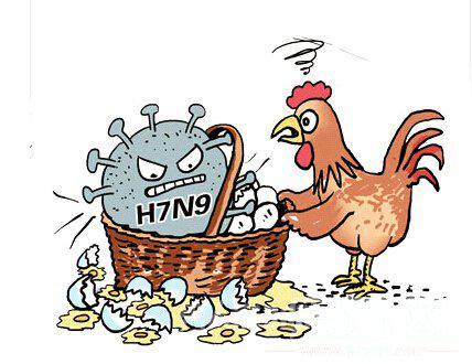 北京确诊1例H7N9禽流感病例 怎么预防流感