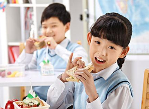 营养专家推荐:儿童营养午餐搭配方案