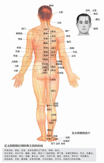 内脏器官对应疼痛图走红 专家称仅能参考