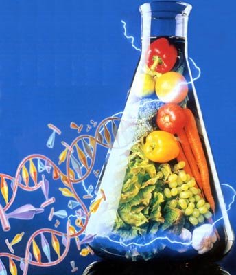转基因食品不会造成基因变异 不破坏营养
