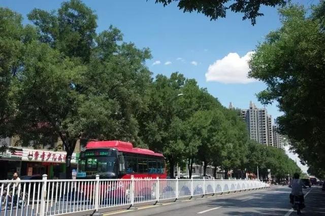 邢台最新限行消息!包括限行区域、具体规则_大