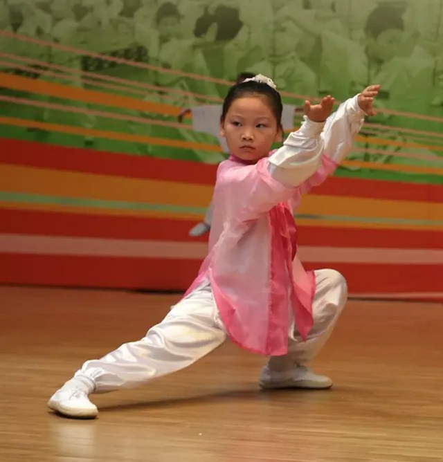 第二届中国太极好少年大赛招募启事_大燕网河