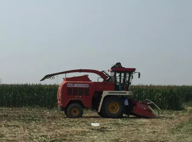 先行补偿标准公布!雄安临时办公区最新消息来