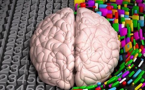 左撇子真的更聪明吗 左撇子和右脑的关系 右脑主要控制什么