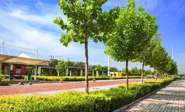 邢台：国际公路自行车赛来啦！