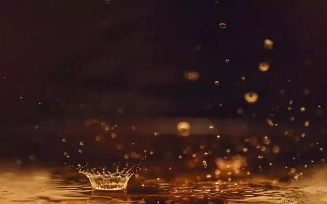 �����⼸�У�������Ҳ���ĳ���Ƭ��