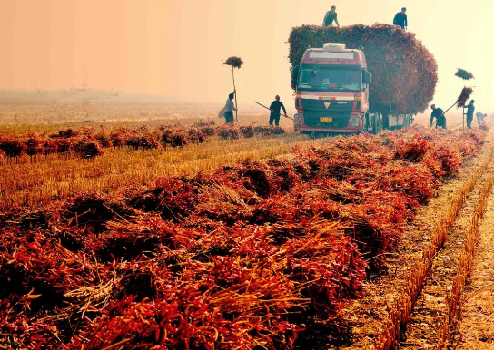 �����ˣ�����黭��Ӱ��Ʒ�����౱��