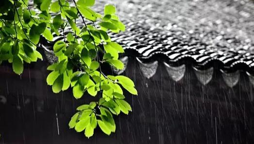 雨声入诗 品读雨天最美经典诗词
