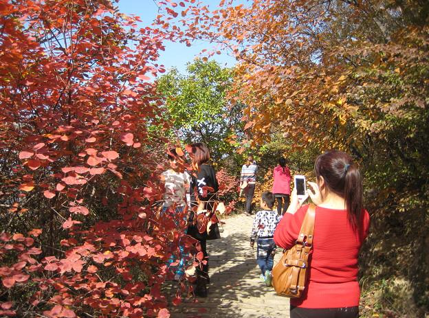 河北推出30条休闲农业与乡村旅游精品线路