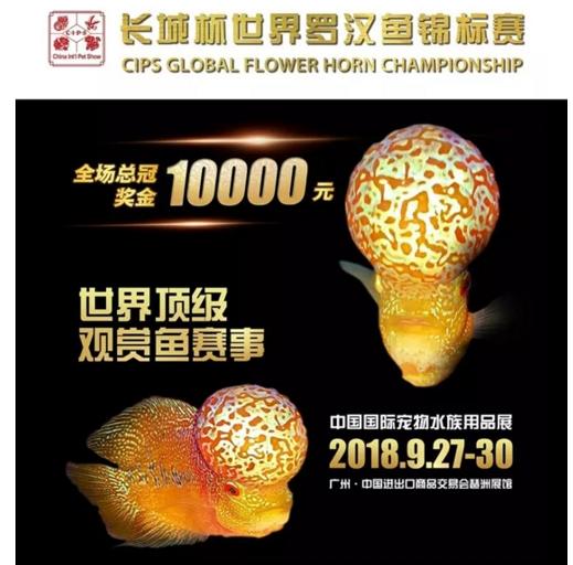 148832447.jpg