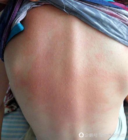 �żҿ�һСѧ����ѧ�����ֹ��� �ҳ�����У������