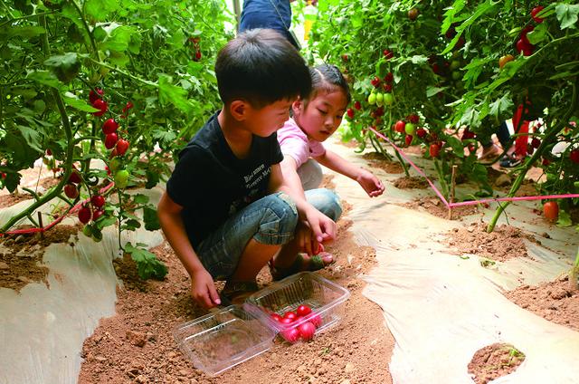 河北推出30条休闲农业与乡村旅游精品线路