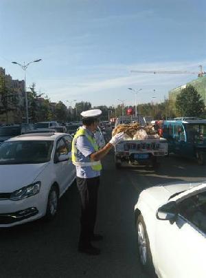 香河交警夜间治理时抓获一肇事逃逸致死嫌疑人