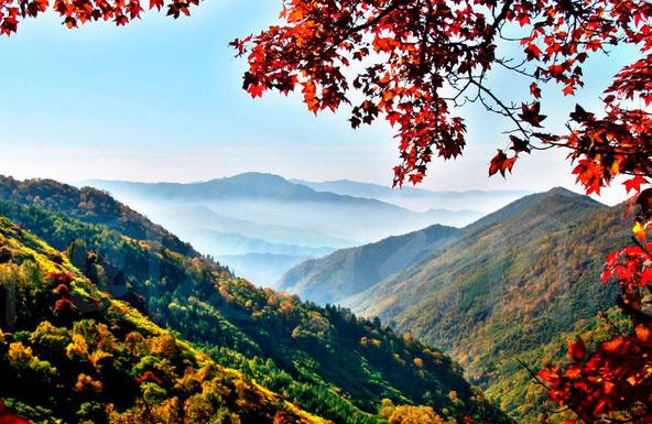 中国·隆化茅荆坝原始森林谷盛大开园_大燕网河北站_腾讯网