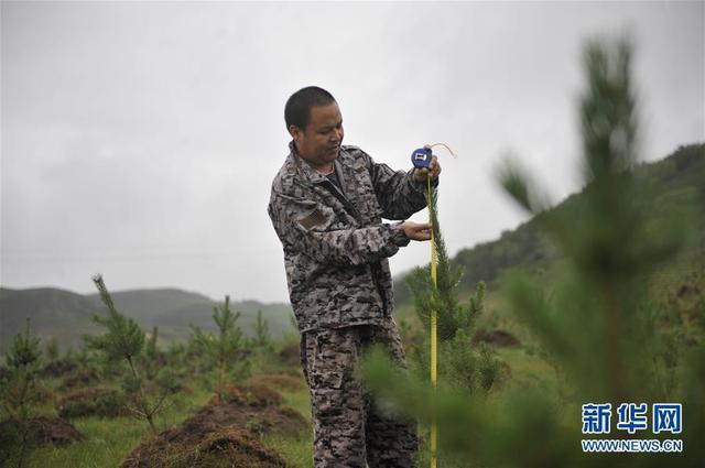 浙江省满族人口有多少_...2版辽宁省新宾满族自治县人大常委会机关全体人员帮