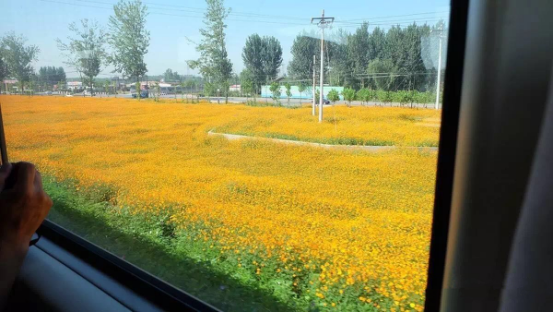 看图猜成语4 花好月圆 5 比翼双飞(3)