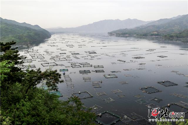 2015年5月5日,随着网箱养鱼规模的不断扩大,水库水质受到影响.