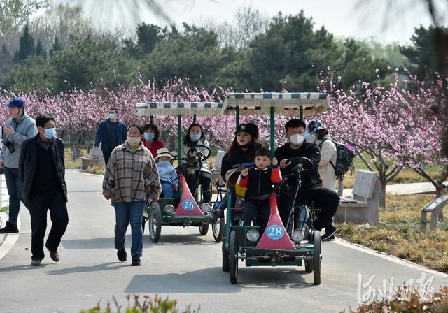2020年3月29日,石家庄市民在植物园内游园赏花.