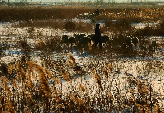 �����ˣ�����黭��Ӱ��Ʒ�����౱��