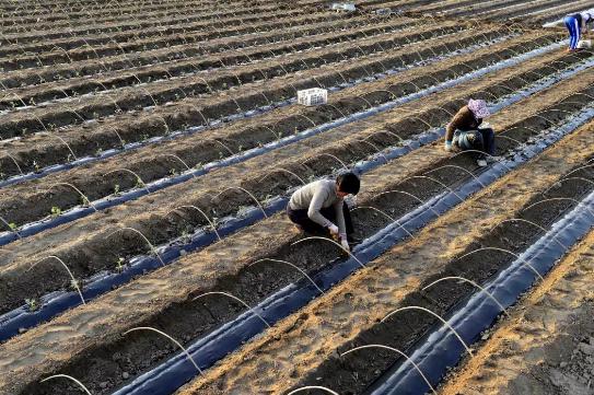 �����ˣ�����黭��Ӱ��Ʒ�����౱��