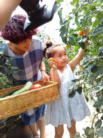 河北推出30条休闲农业与乡村旅游精品线路