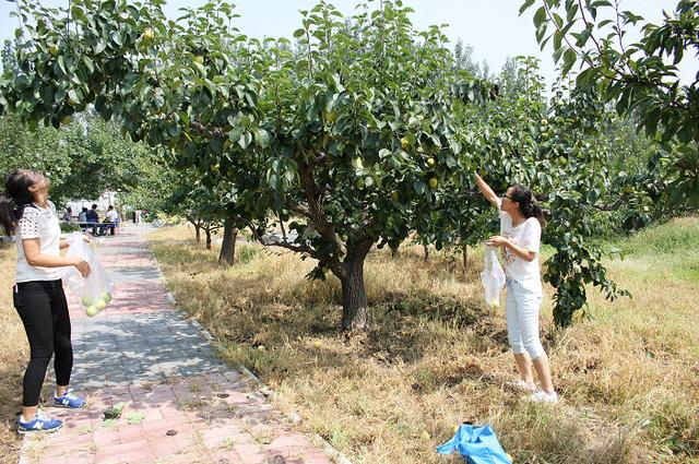 河北推出30条休闲农业与乡村旅游精品线路