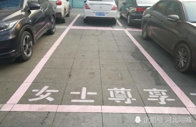 邯郸街头现粉红色的女士尊享停车位 深受女士
