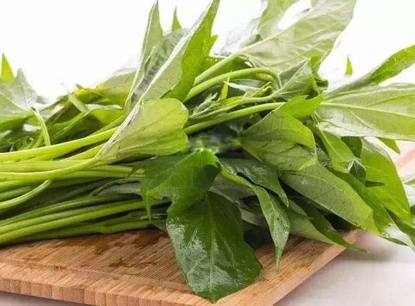 小小红薯叶 健康吃起来_大燕网河北站_腾讯网