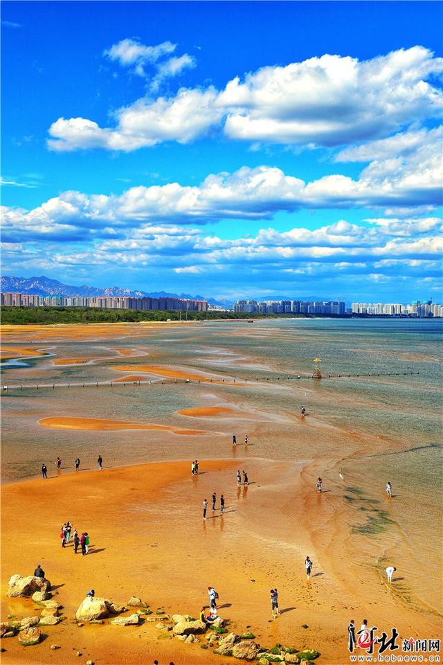大河之北·海洋篇 岸线胜境