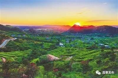 昌黎gdp_昌黎黄金海岸