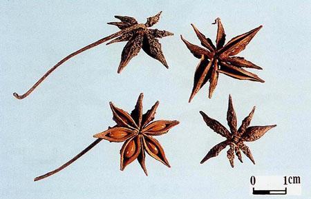 �Լҳ������������Щ�Ļ�����ԸϽ������ӵ�