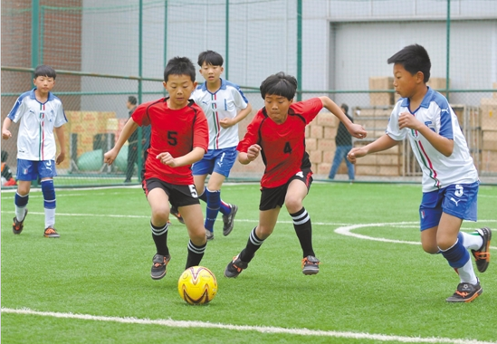 小学生五人制足球比赛运动员资格审查表