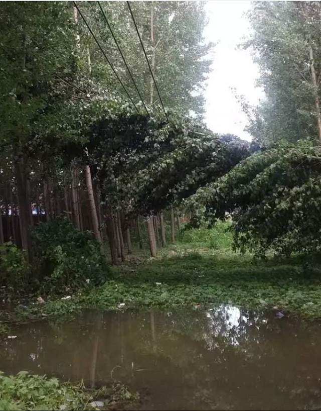 香河县停水的原因居然是它 暴雨过后,我们应该