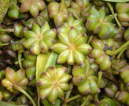 �Լҳ������������Щ�Ļ�����ԸϽ������ӵ�