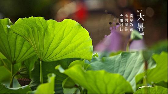 登录查看大图