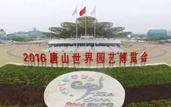 凤凰涅槃:3分钟沙画带你看完醉美唐山(图)