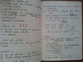 6位高考状元拍卖笔记 3状元被网友人肉后退出