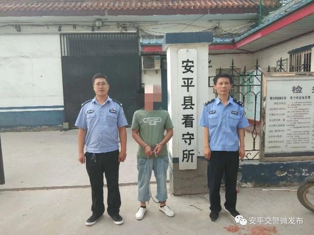安平交警查获一名网上在逃人员