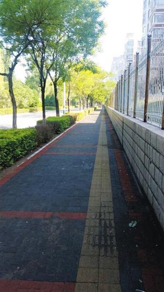 河北迁安海绵化的道路会“呼吸”能“喝水”